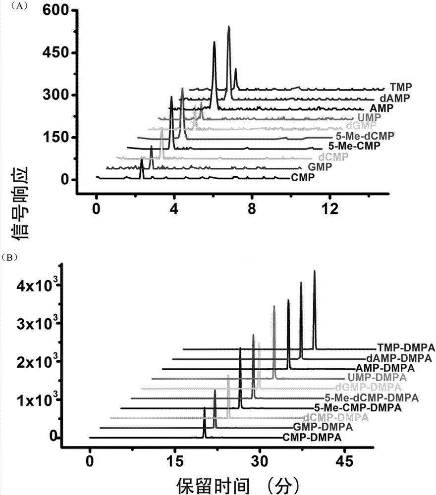 Chemical labeling and LC-MS combined method, and applications thereof in nucleotide analysis