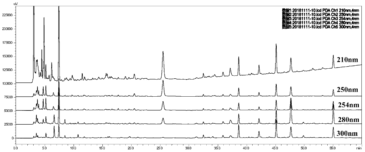 Detection method for HPLC characteristic atlas of Liang Di decoction