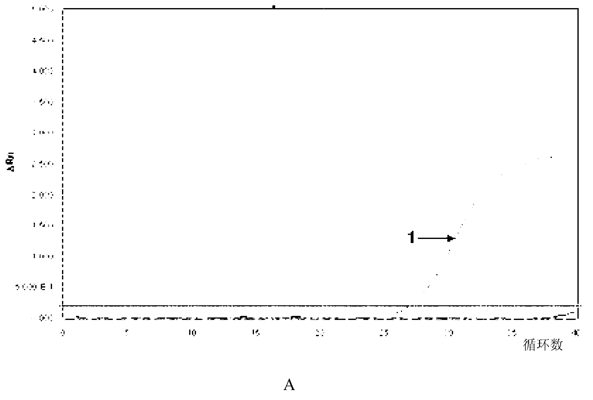 Standard molecule for specifically detecting transgenic rice strain Kefeng No.6 and application thereof