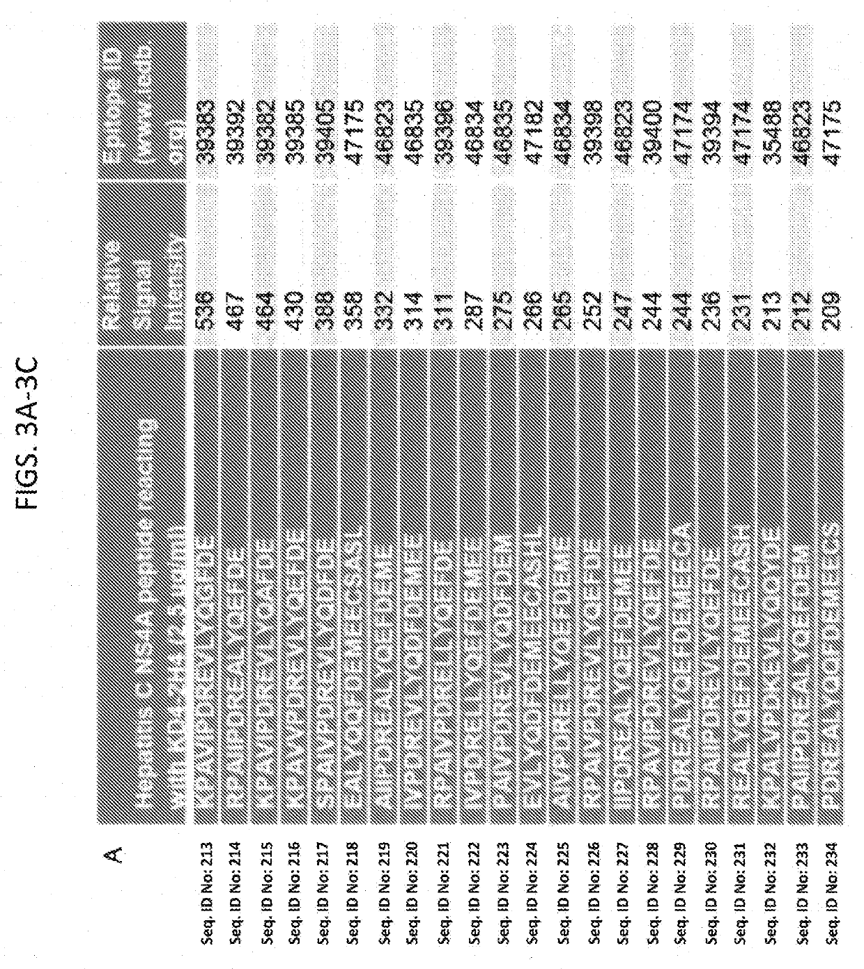 Kawasaki disease antibodies identify hepacivirus peptides