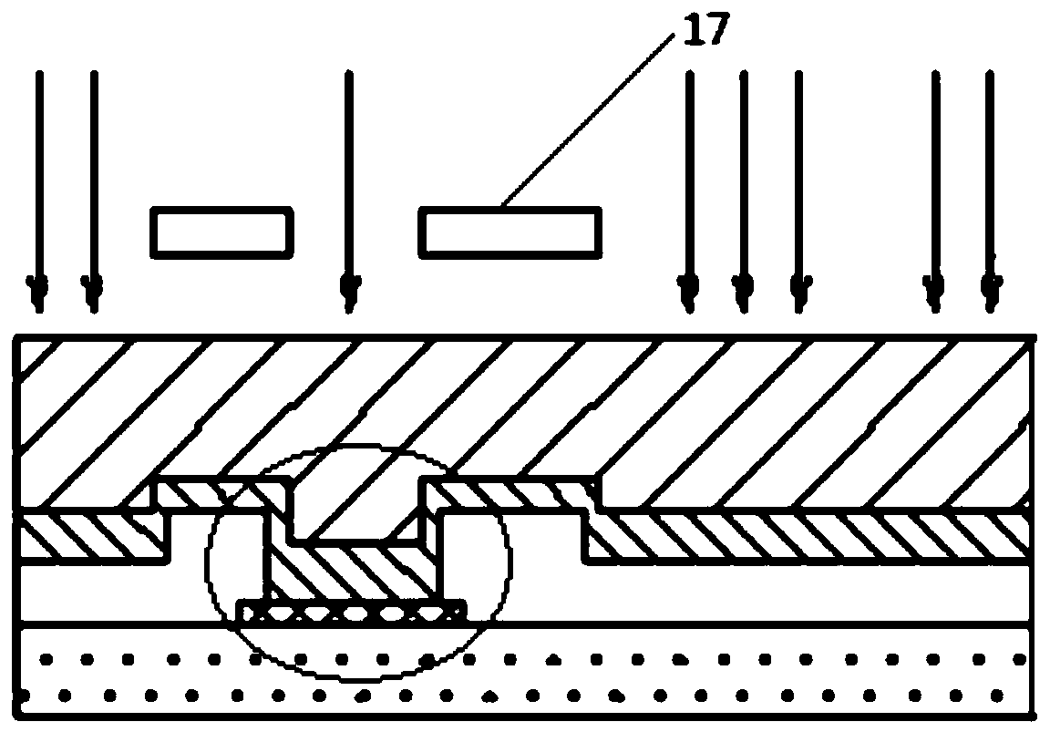 Display substrate, manufacturing method thereof, and display device