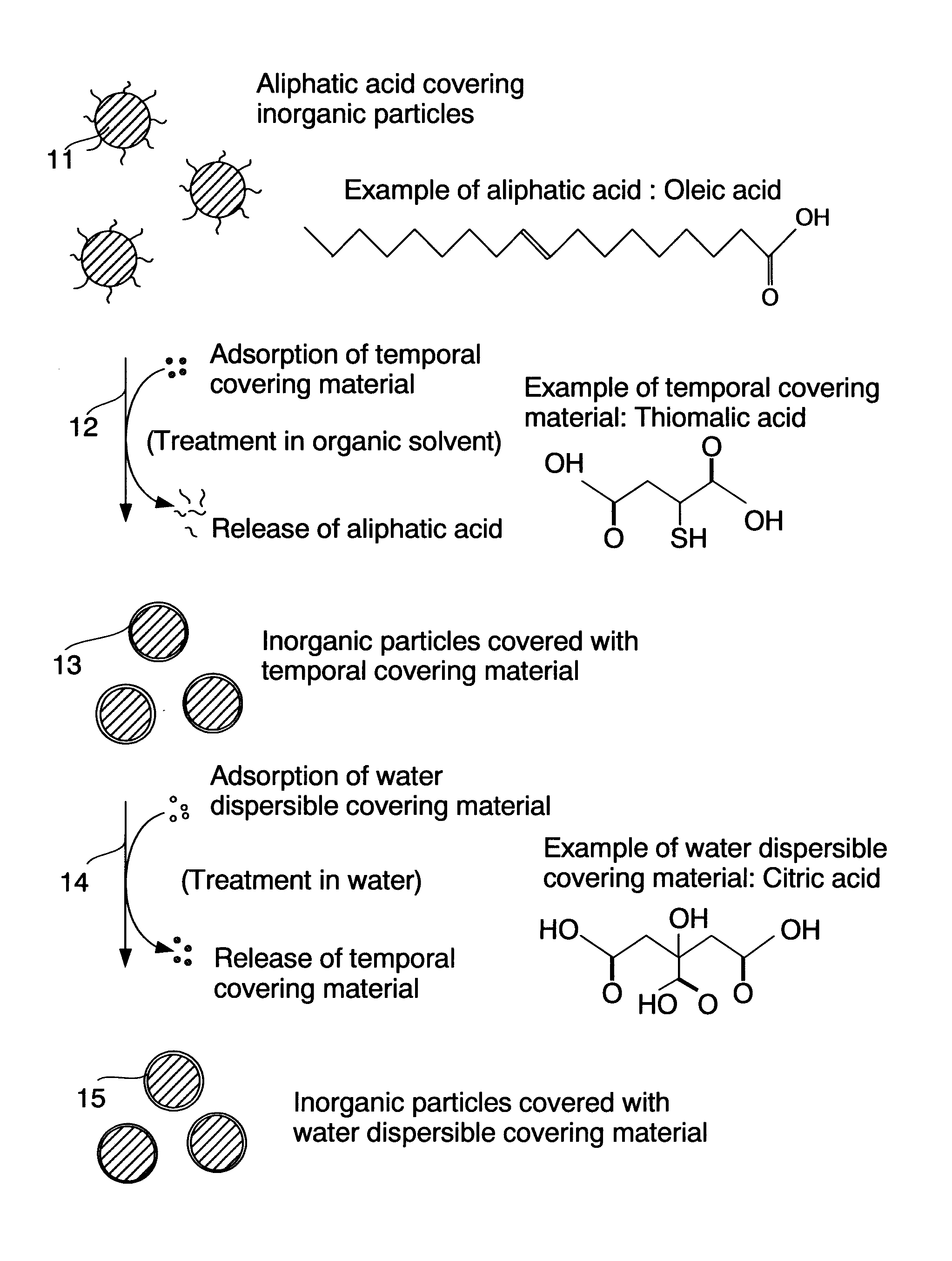 Process for production of surface-coated inorganic particles