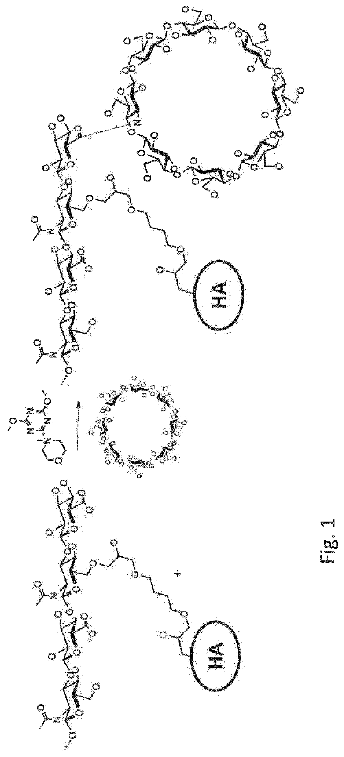 Cyclodextrin-grafted cross-linked hyaluronic acid complexed with active drug substances and uses thereof