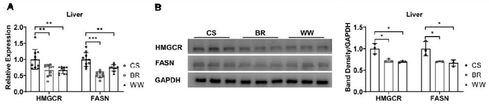 MiRNA marker with lipid synthesis capability under whole grain diet