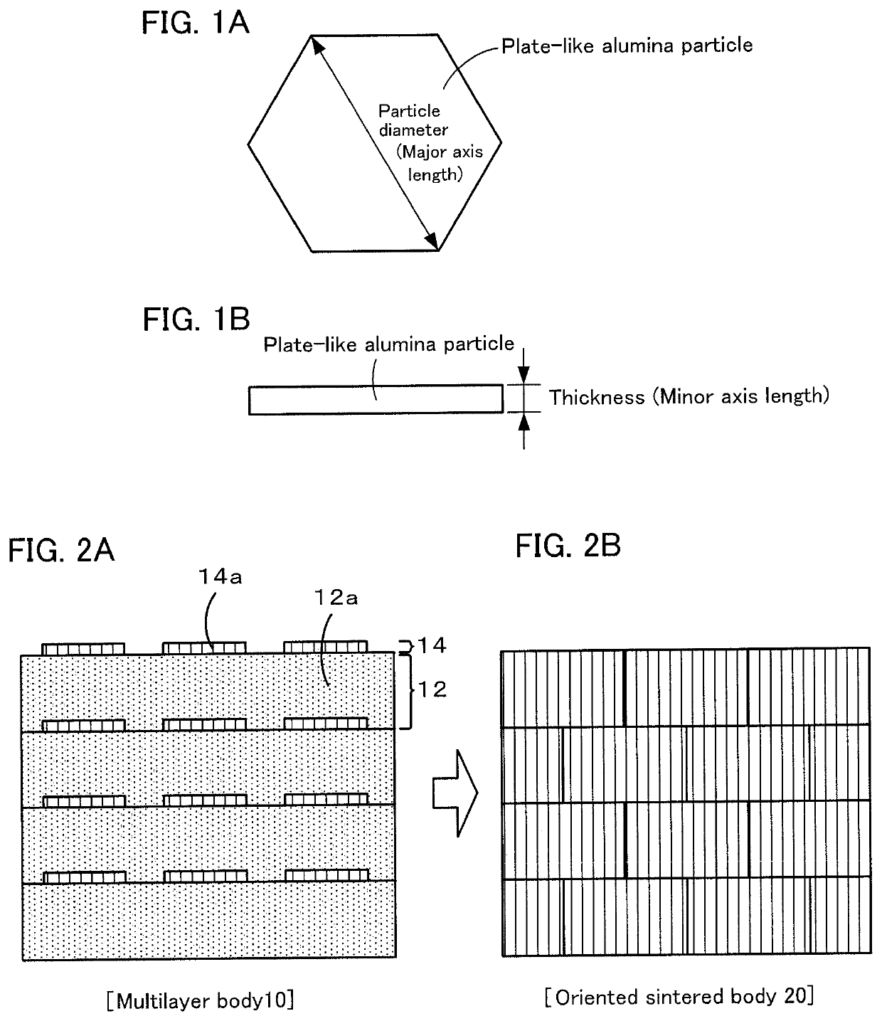 Method for producing oriented sintered body