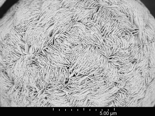 A kind of nickel-cobalt-manganese ternary precursor with xrd diffraction bifurcated double peaks and preparation method thereof