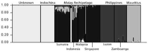 SNP markers for cynomolgus monkey origin (subpopulation) identification and their application