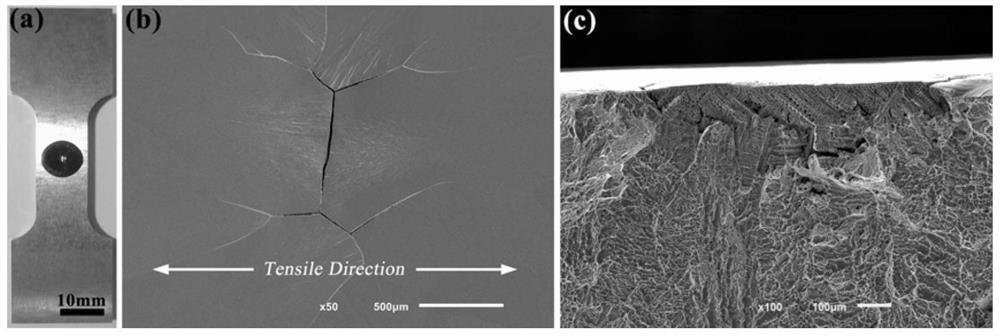 Research Method of Solidification Process Information on Free Surface of Metal Melt