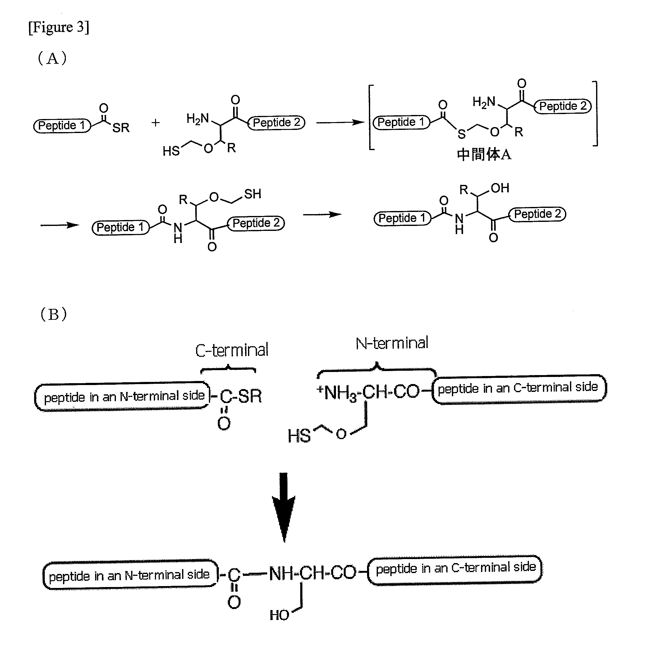 Method for producing peptide