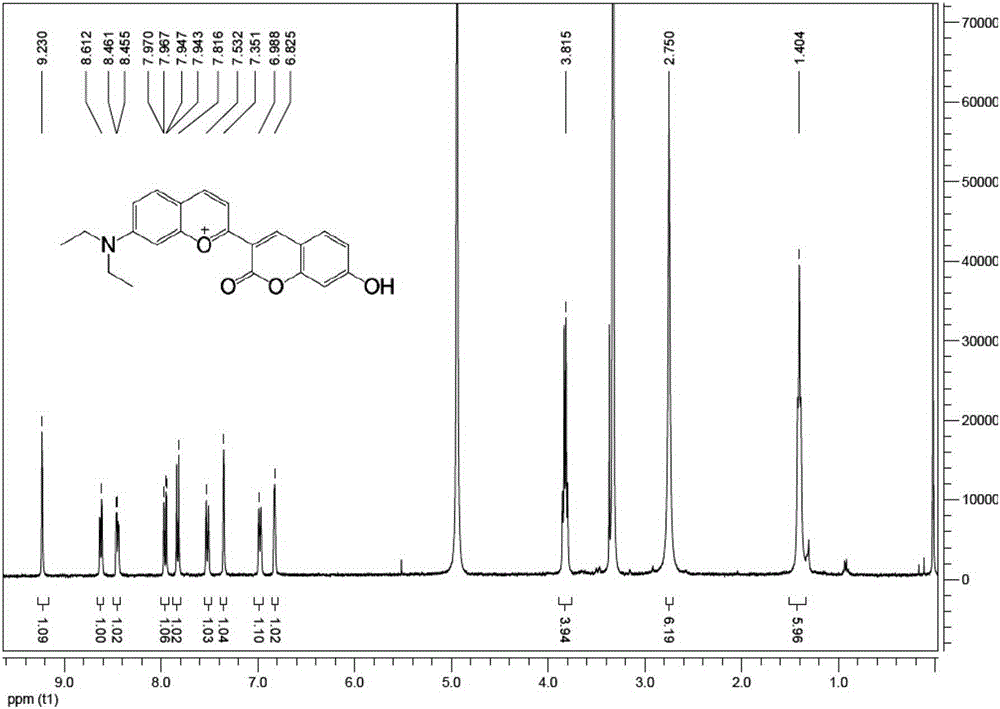 Fluorescence probe for detecting hypochlorous acid in biological system and application of fluorescence probe