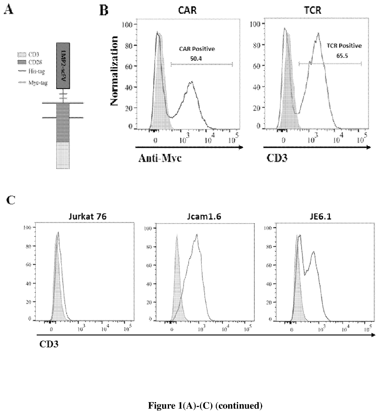 Engineered immune cells