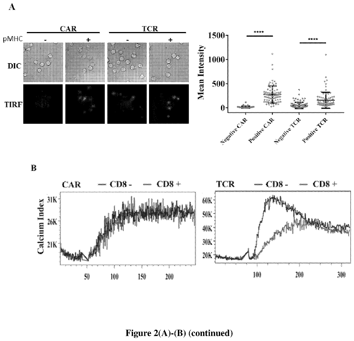 Engineered immune cells