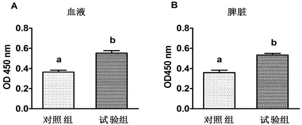 Porcine heat stress resistance selenium-rich composite bacteria feed additive and application thereof
