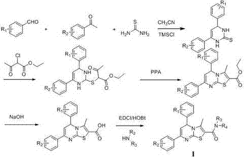 5,7-diphenyl-5H-thiazolo[3,2-a]pyrimidine-2-carboxamide derivatives and application