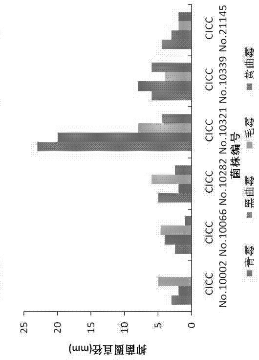 Application of fermentation liquor of bacillus subtilis in inhibition of growth of penicillium and aspergillus niger