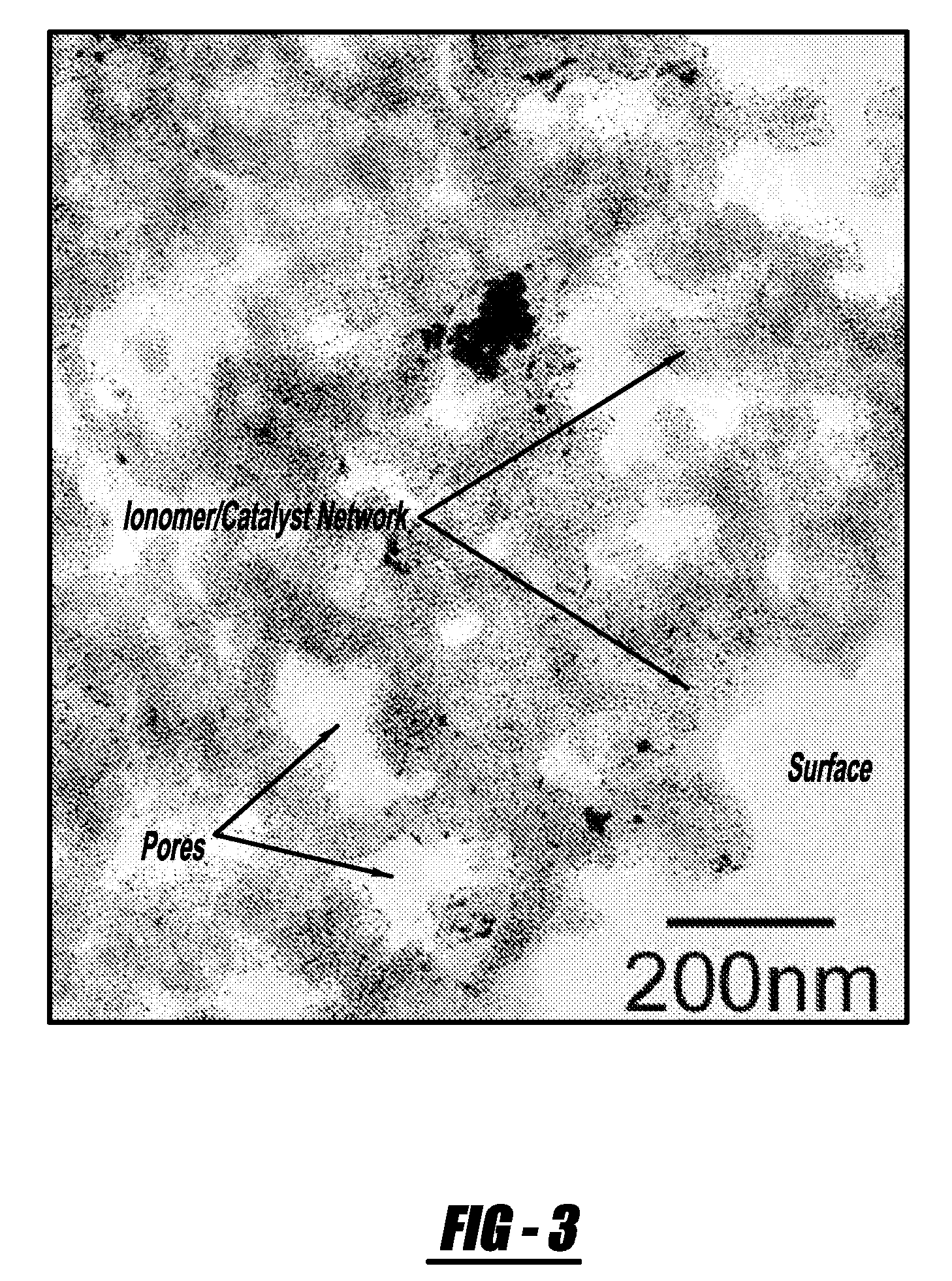 Method for Characterizing the Porosity in Fuel Cell Electrodes