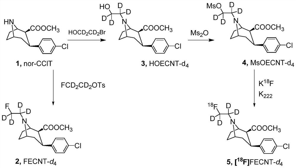 Deuterated tropane derivative and application thereof