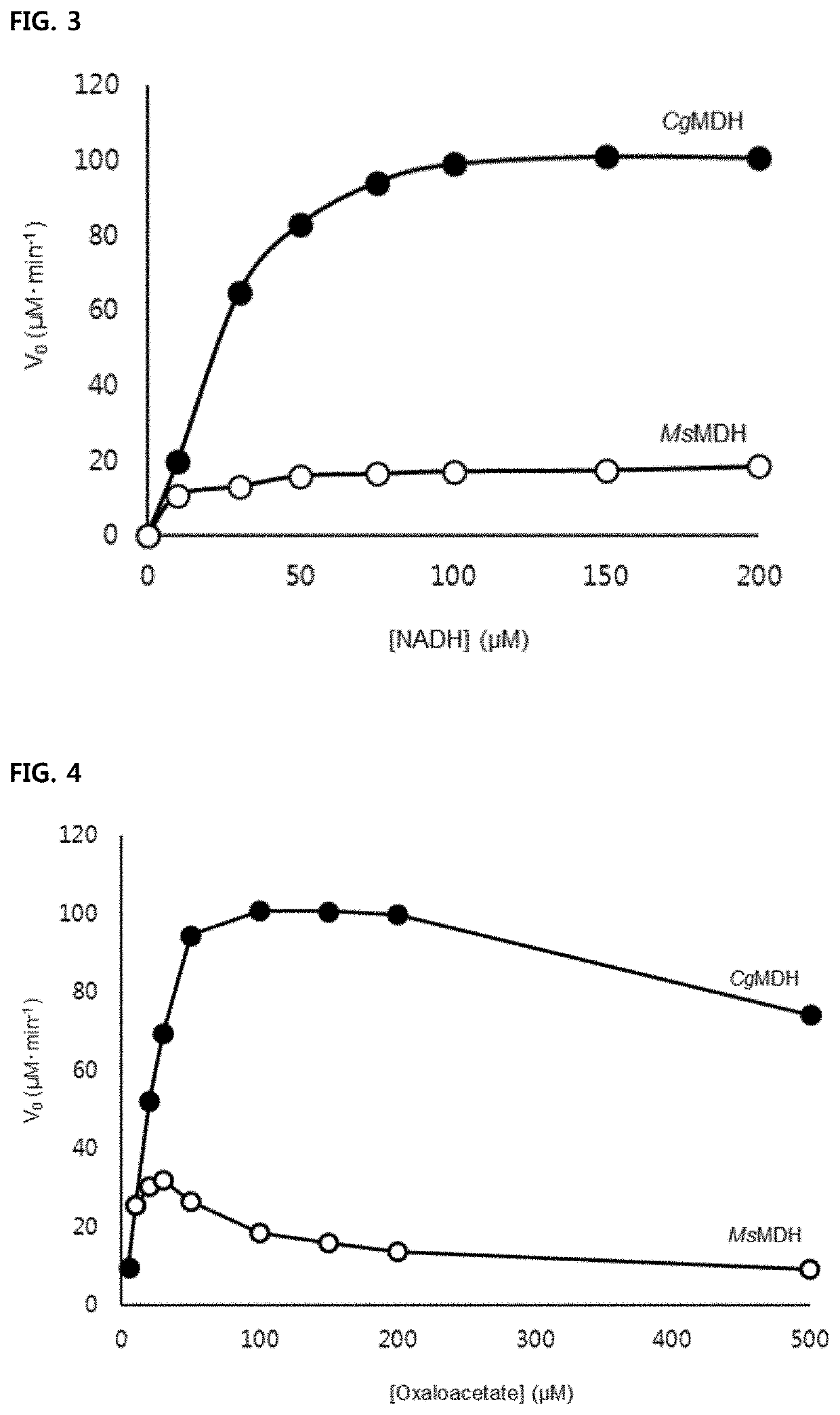 Mutant microorganism introduced with highly active malate dehydrogenase for producing succinic acid and method of producing succinic acid using the same