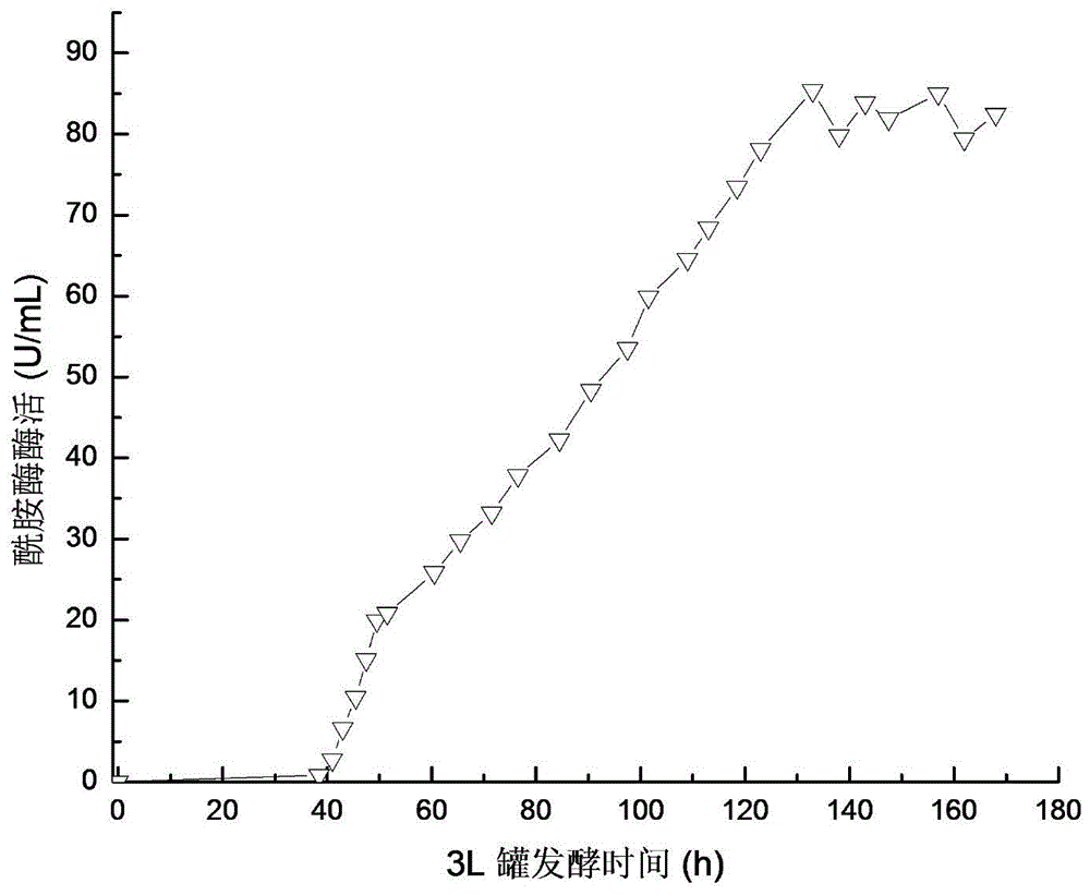 A kind of trypsin mutant with improved enzyme activity and its construction method