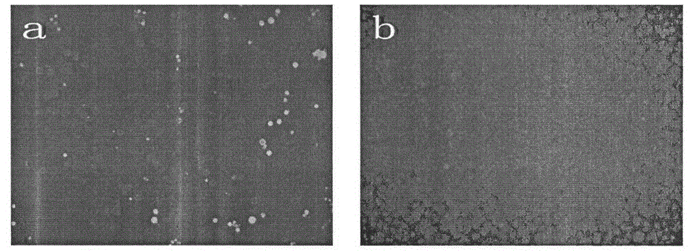 Liver-targeting drug-loaded microspheres with pH and reduction responsiveness, and preparation method and application thereof