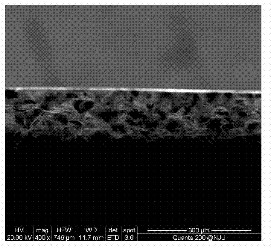Method for preparing large-area graphene sponge