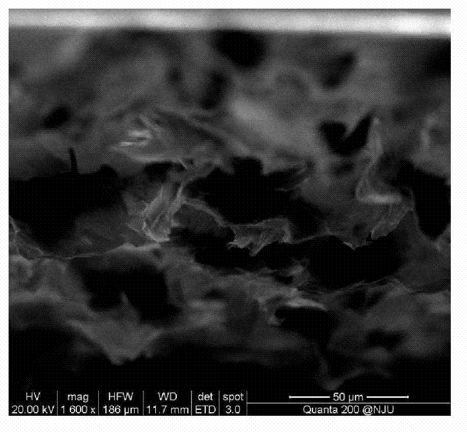 Method for preparing large-area graphene sponge