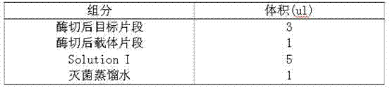 Recombinant plasmid of expression L-lysine transportprotein and engineering bacteria and application