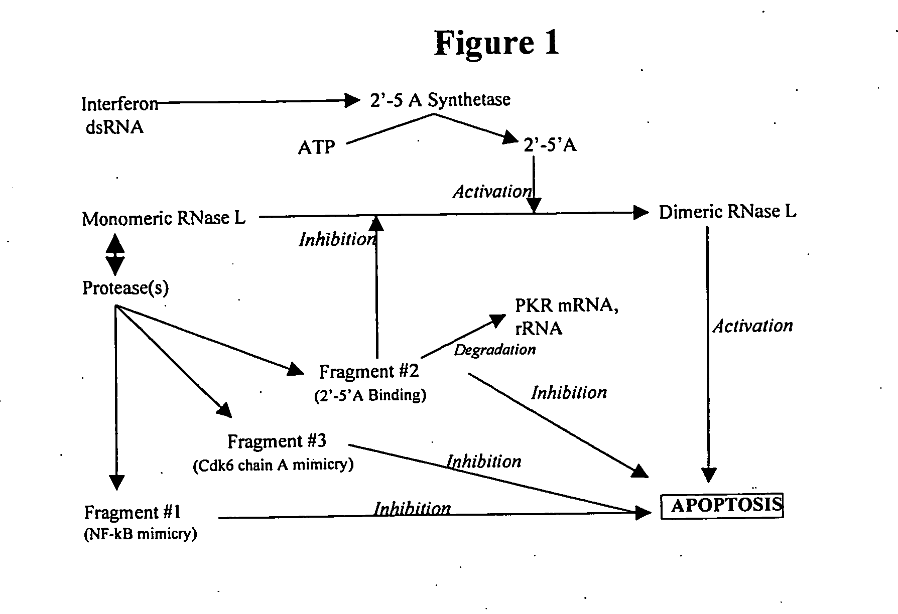 Methods and compositions for use in the diagnosis and treatment of chronic immune disease