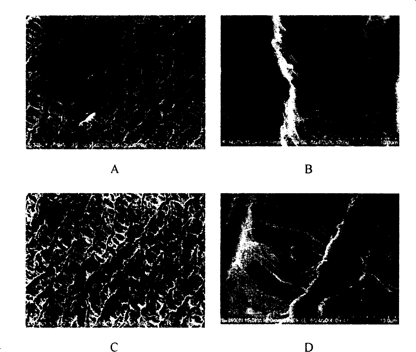 Electrochemical cross-linking process for surface modification of biological material