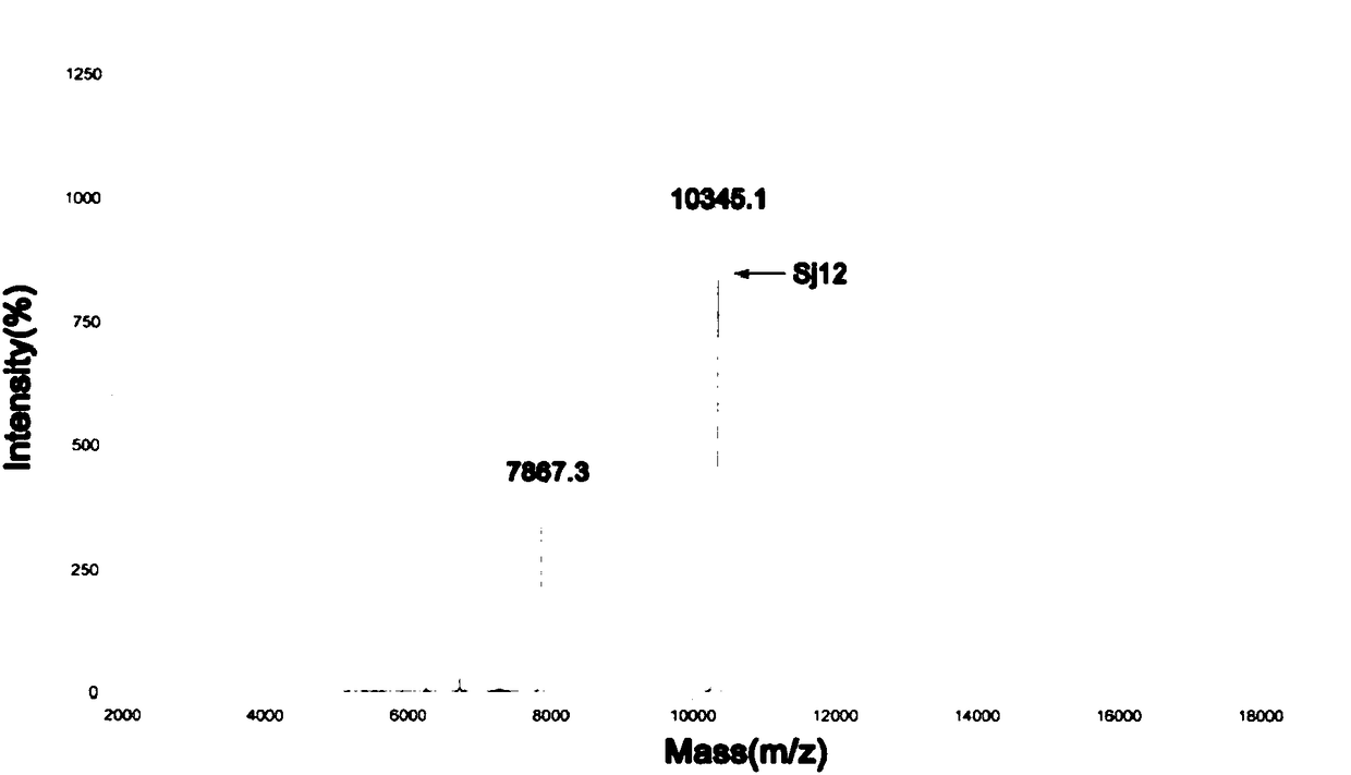 Sj12 polypeptide and application thereof in preparation of anticoagulation medicine
