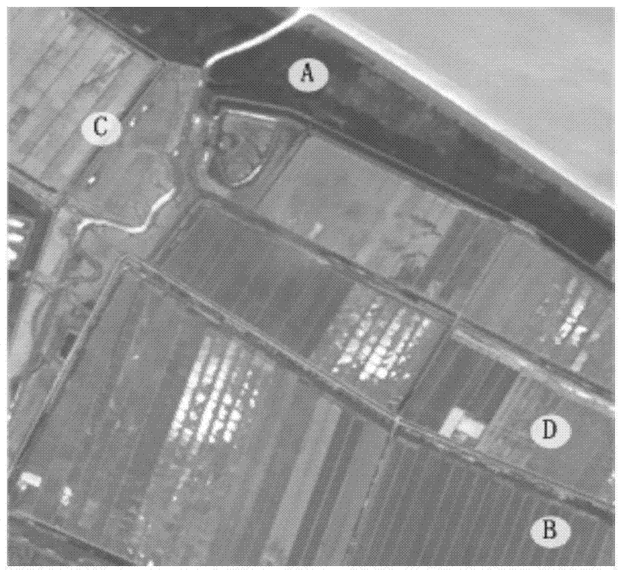 Multi-band high-resolution remote sensing image segmentation method based on gray scale co-occurrence matrix
