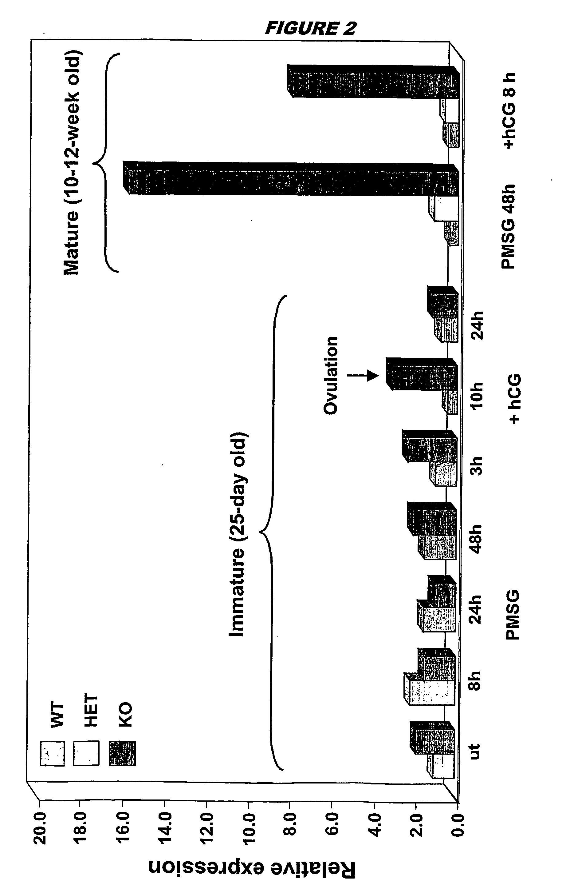 Screening for anti-ovulatory compounds