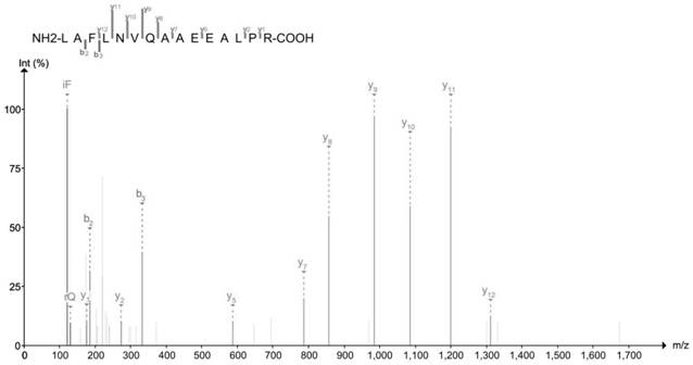 Skin rejuvenation protein marker-GPDM protein and non-invasive extraction method thereof