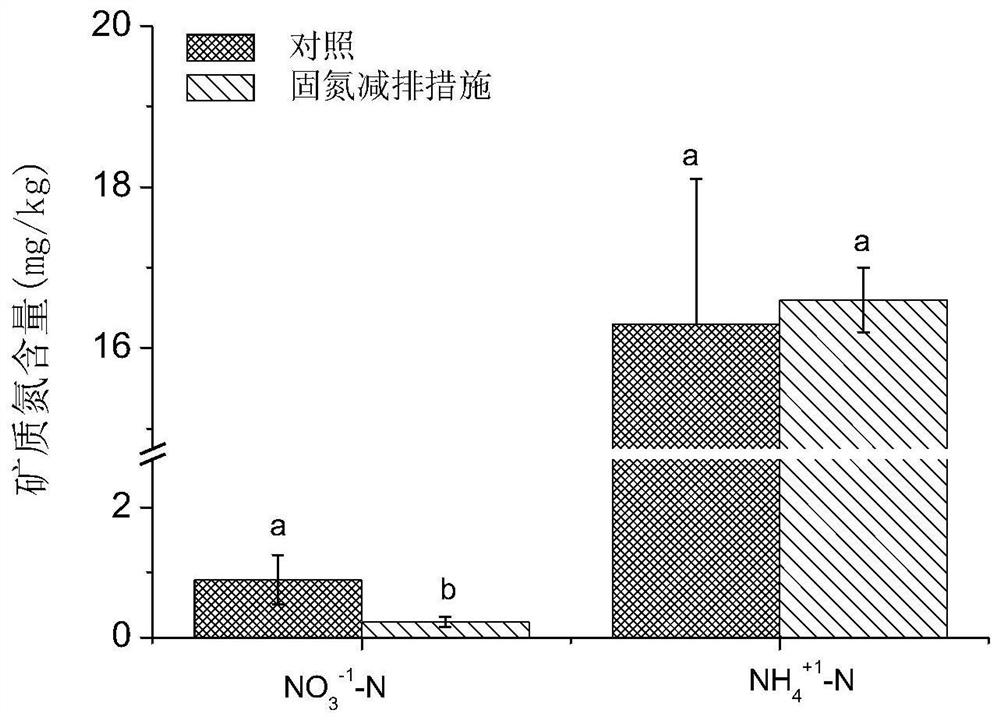 Southern fallow period rice field nitrogen fixation and emission reduction method