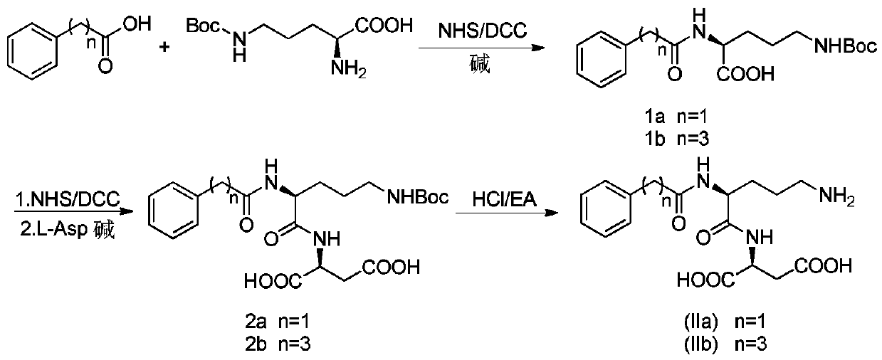 Acylated derivatives of ornithine and aspartic acid dipeptide compounds and their application