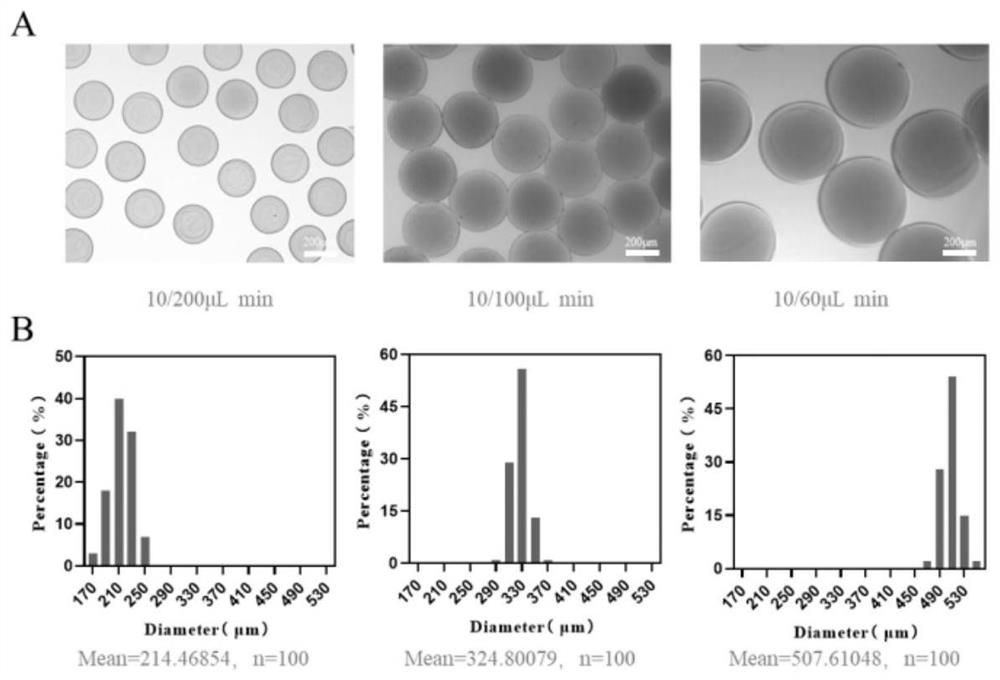 Application of injectable microsphere system in preparation of drug carrier for activating and amplifying tumor infiltrating T cells