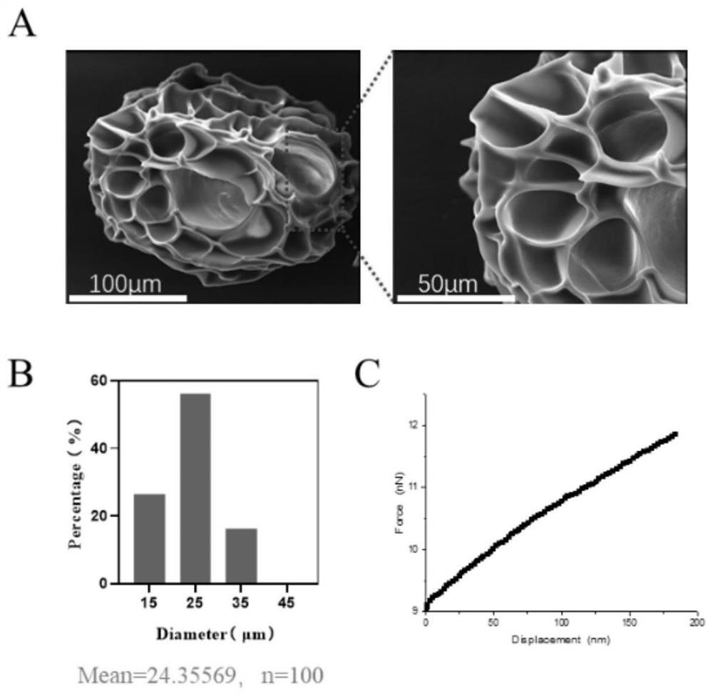 Application of injectable microsphere system in preparation of drug carrier for activating and amplifying tumor infiltrating T cells