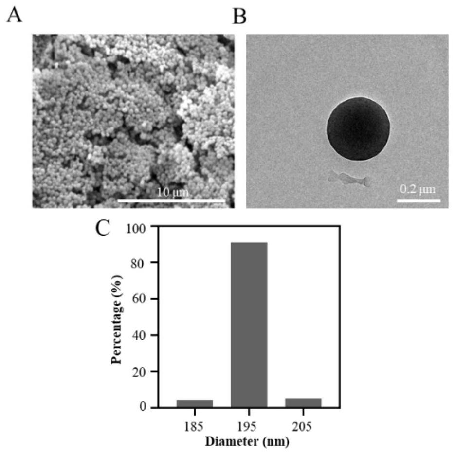 Application of injectable microsphere system in preparation of drug carrier for activating and amplifying tumor infiltrating T cells