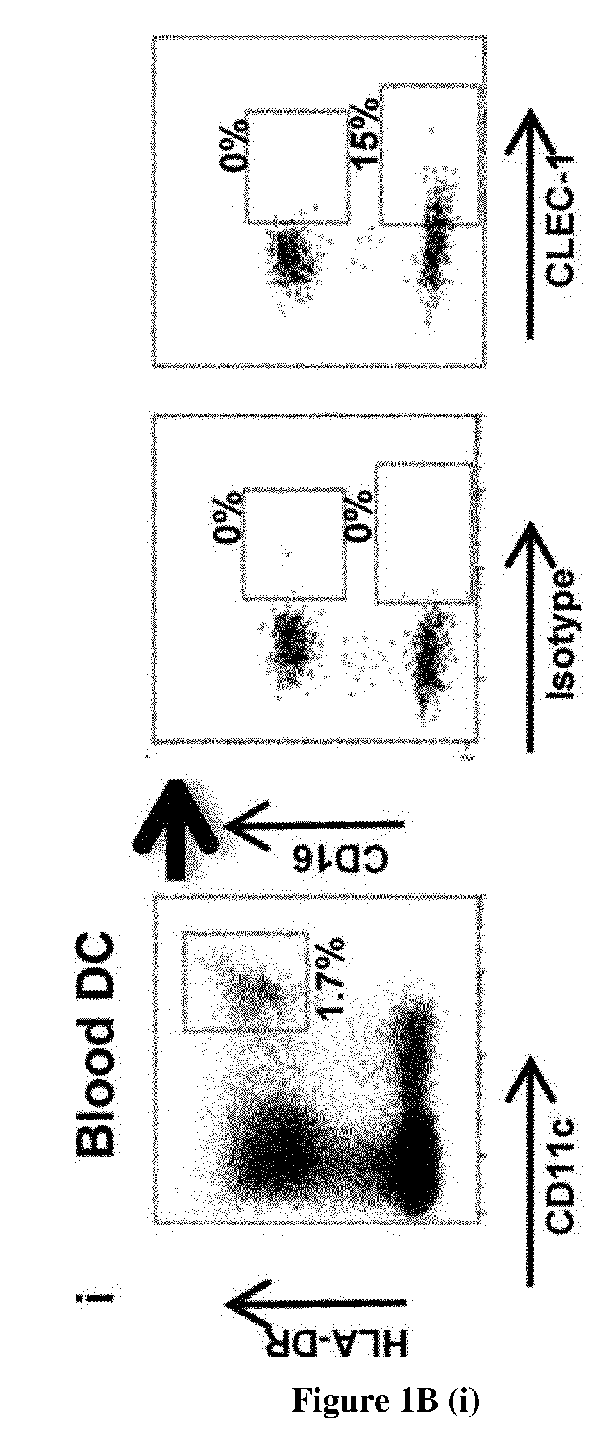 Methods for promoting t cells response