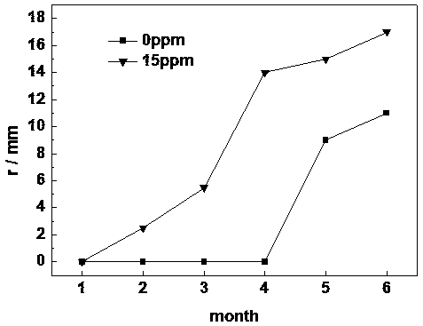 Method for testing performance of coatings of ballast tank and piping system thereof in electrolytic ballast water environment