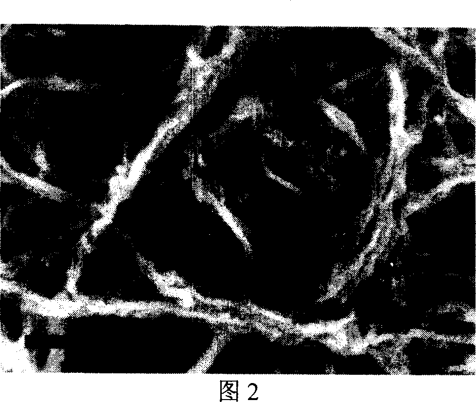 Method of preparing C-doped porous nanometer TiO2 photocatalyst with egg shell membrane as template