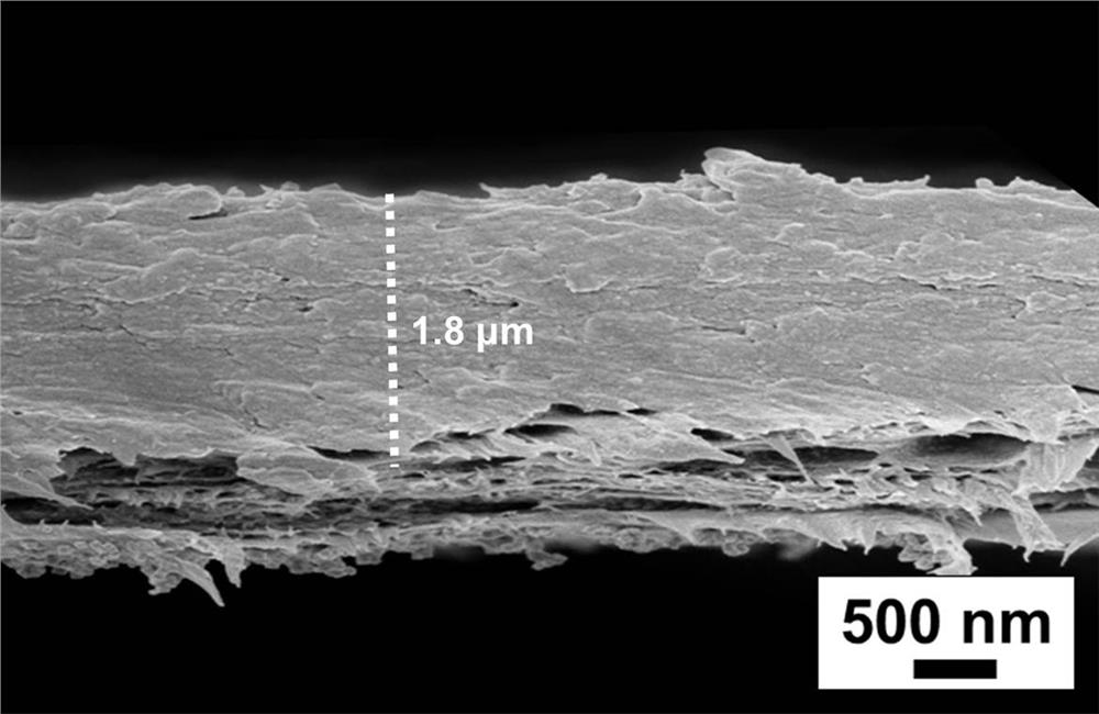 A kind of multifunctional metallized wood material and its preparation method and application