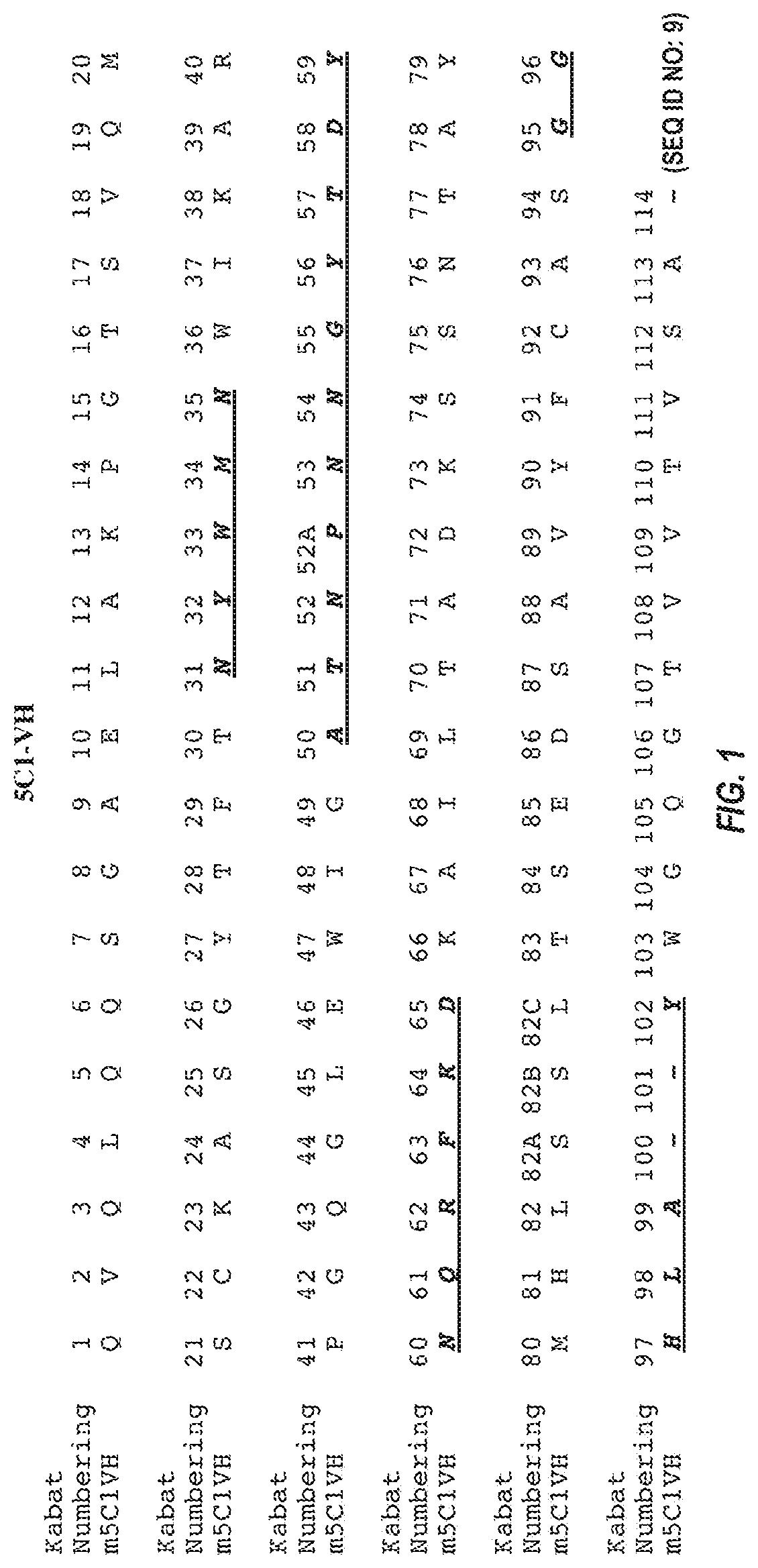 Blood-brain barrier shuttles containing antibodies recognizing alpha-synuclein