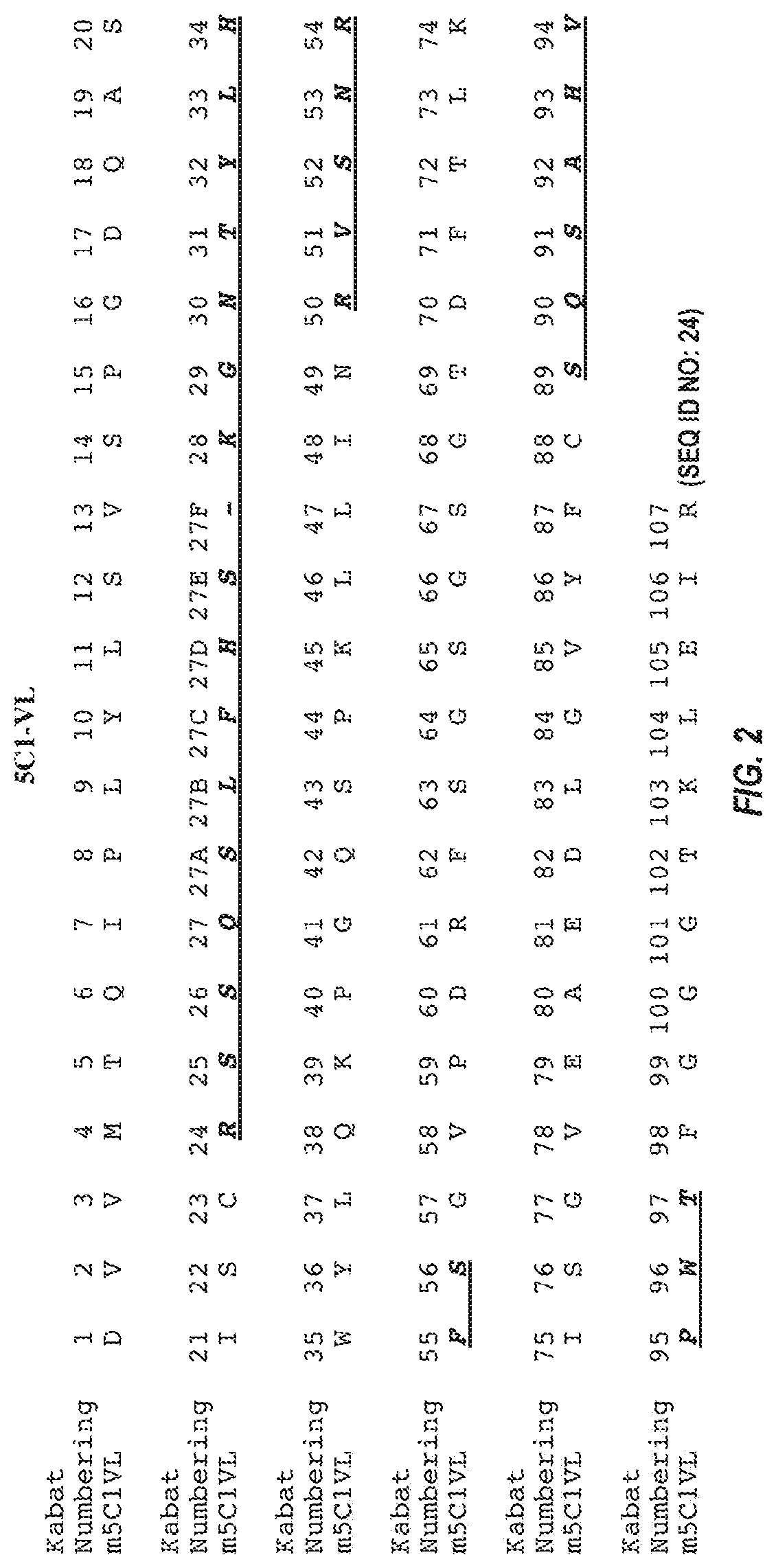 Blood-brain barrier shuttles containing antibodies recognizing alpha-synuclein