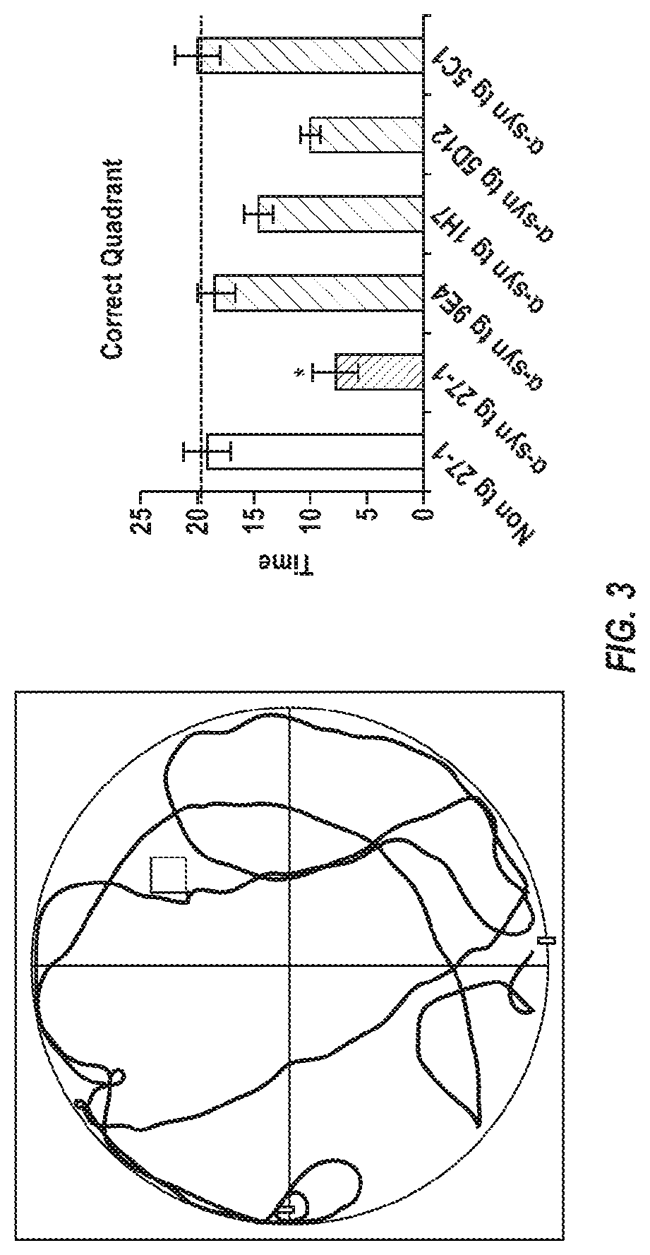 Blood-brain barrier shuttles containing antibodies recognizing alpha-synuclein