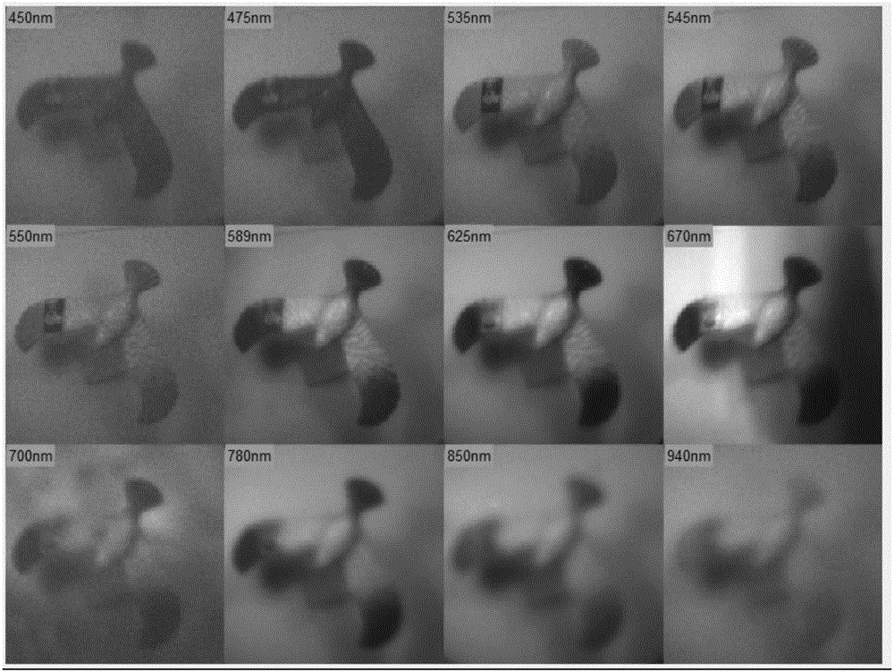 Flame detection method based on multispectral videos