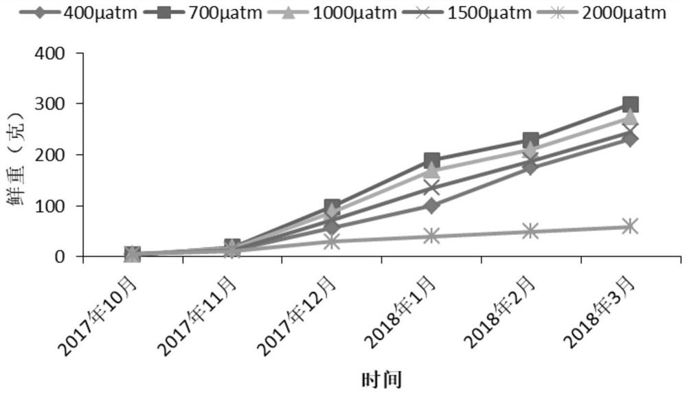 A system and research method for studying the long-term acidification adaptability of macroalgae