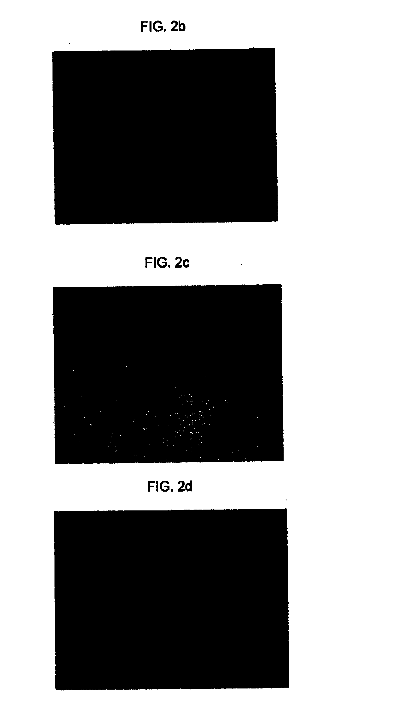 Photocurable composition, article, and method of use