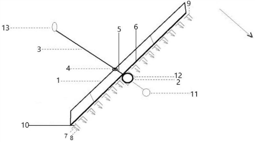 Precise poultry grazing machine and ecological method for weeding and pest control