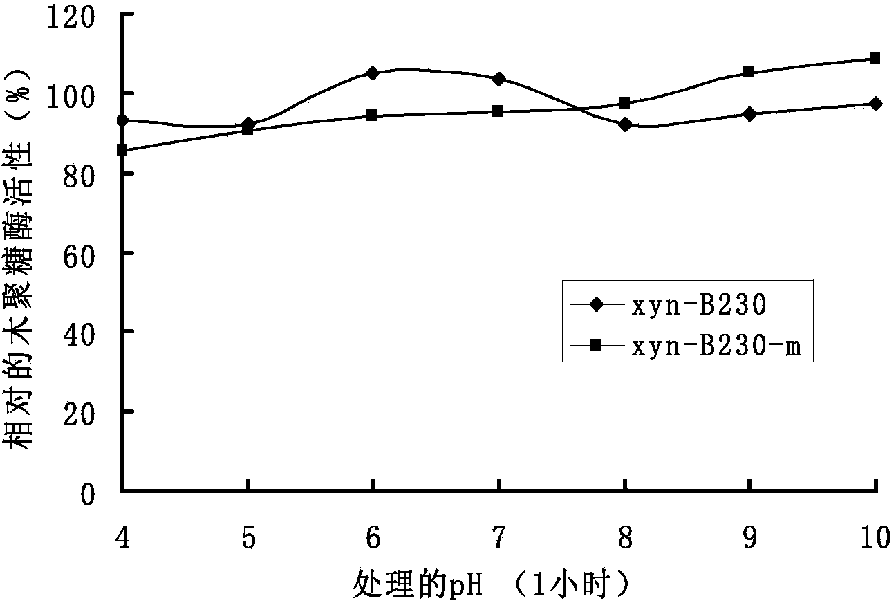 Alkaline xylanase with improved heat stability, and coding gene and application thereof